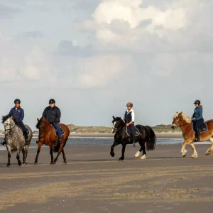 Urlaub auf Borkum