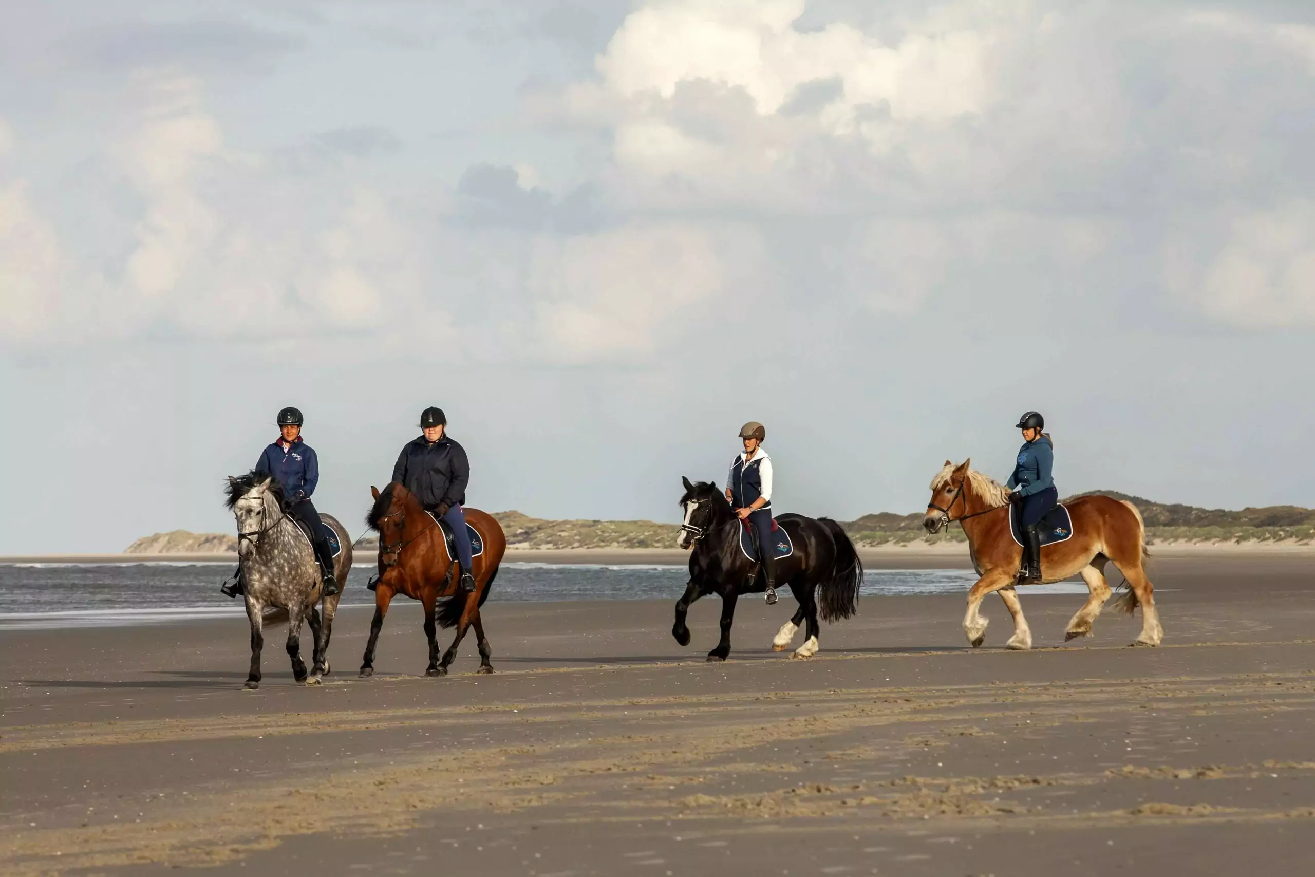 BEGLEITETE STRANDAUSRITTE