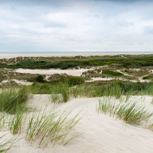 Borkum