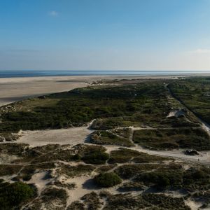 Borkum