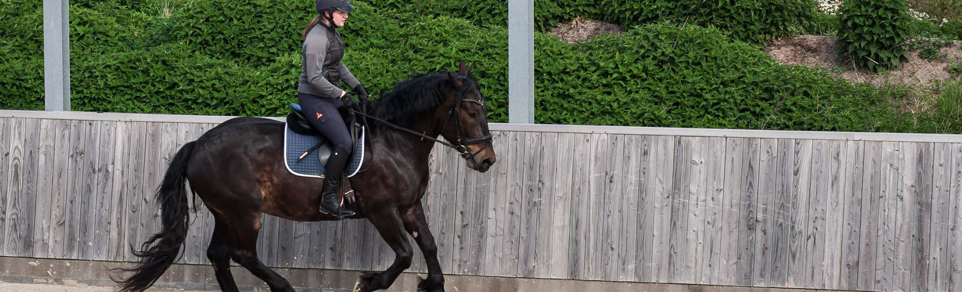 Reiten auf Borkum