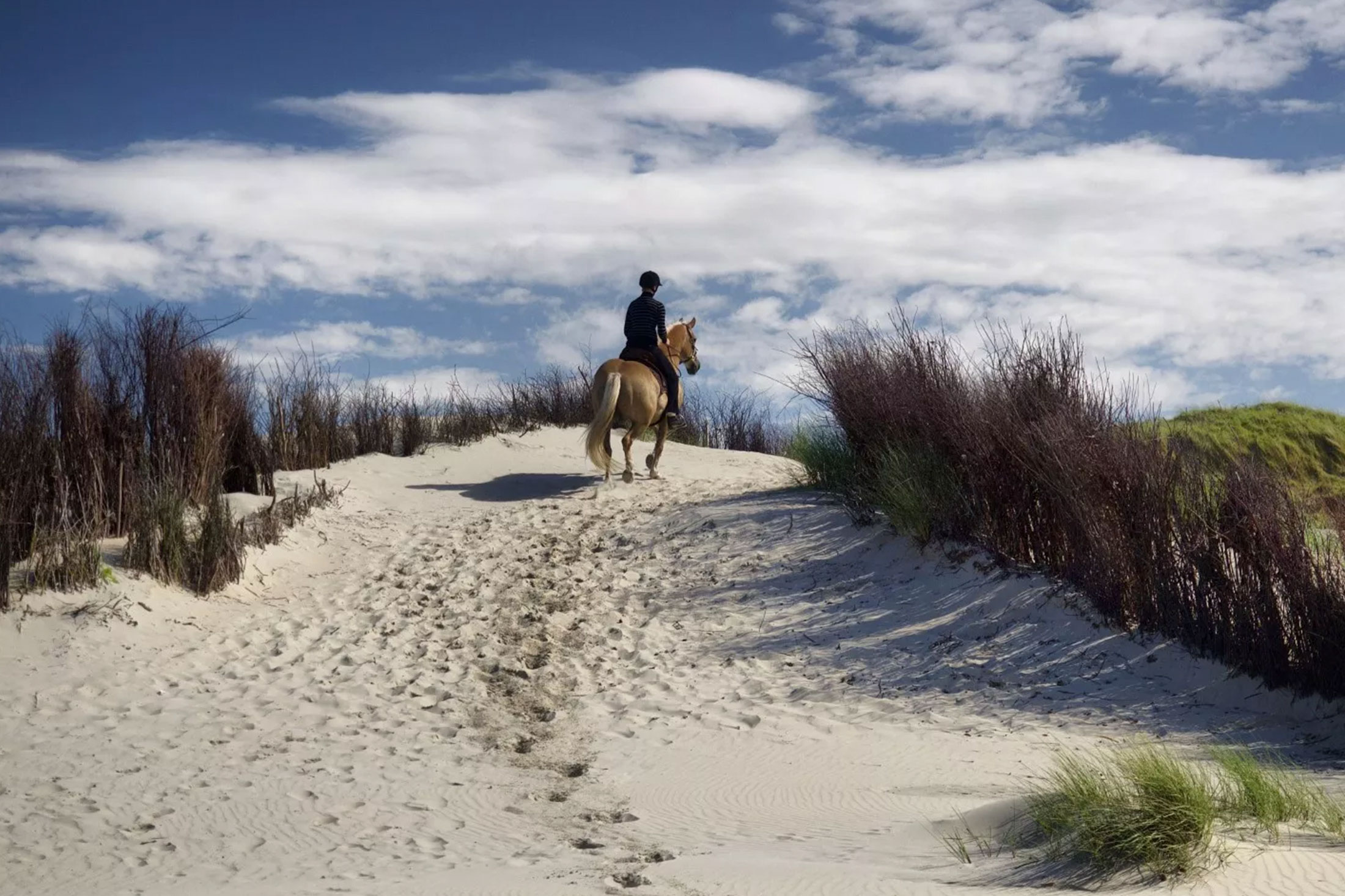 Reiten auf Borkum